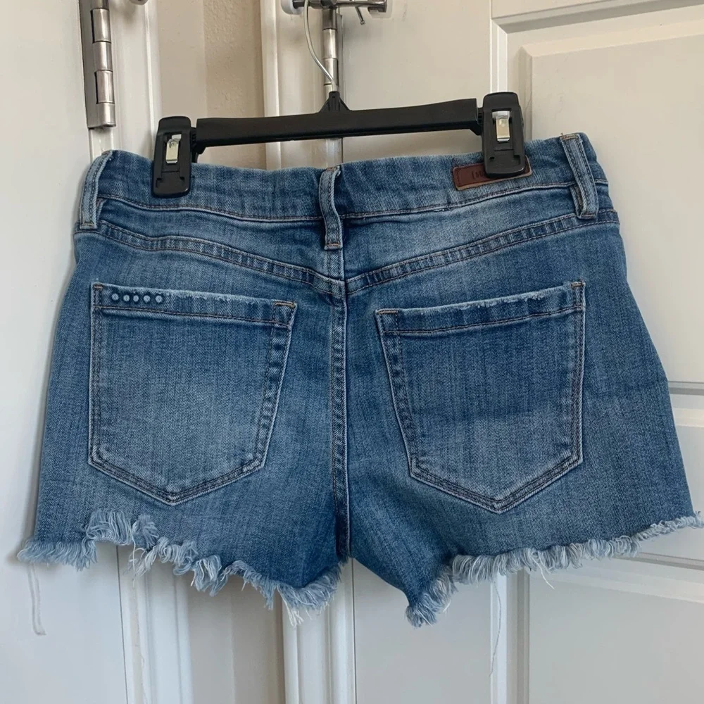 BlankNYC The Essex Shorts, Size 26